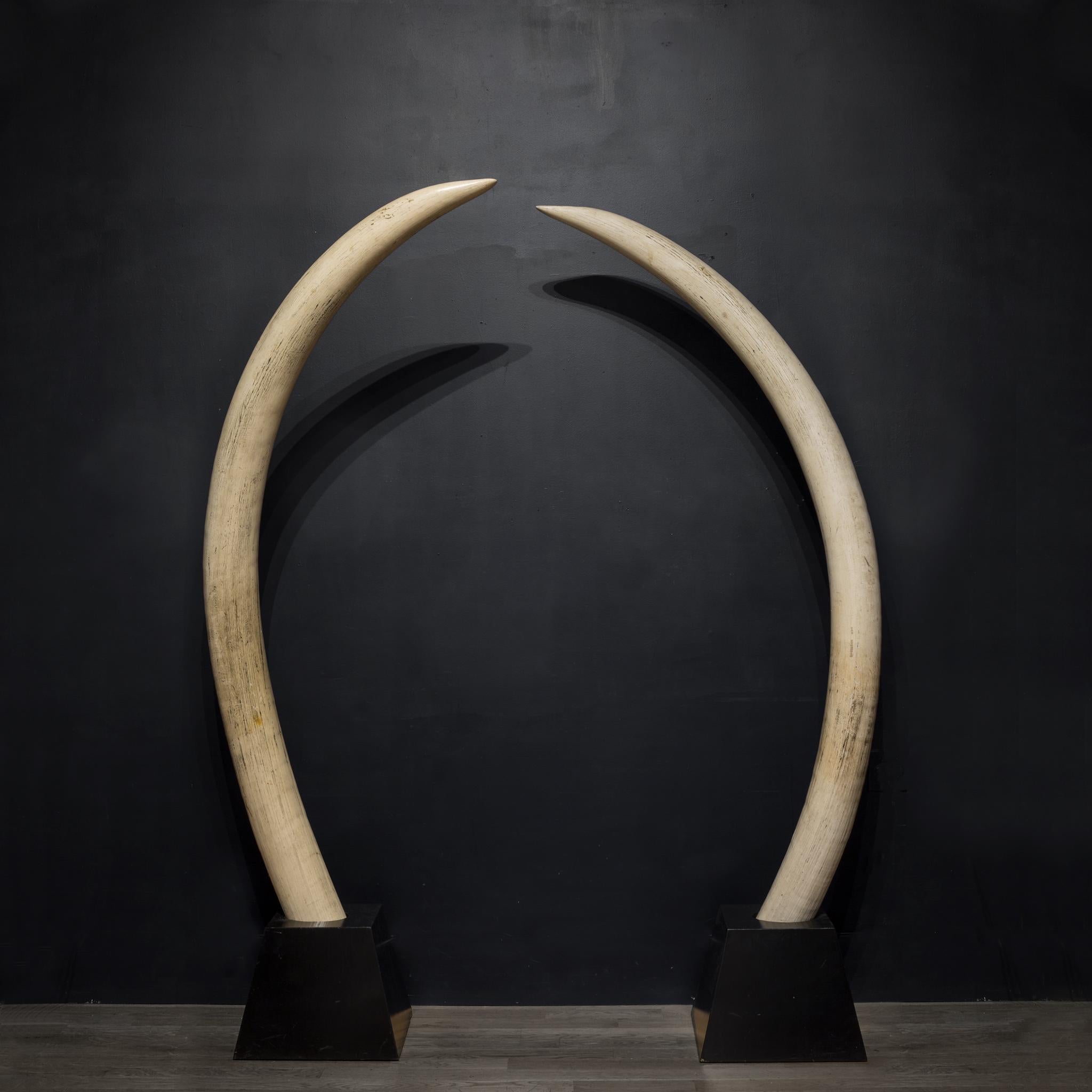 Pair of Midcentury Monumental Faux Elephant Tusks, circa 1970s 2