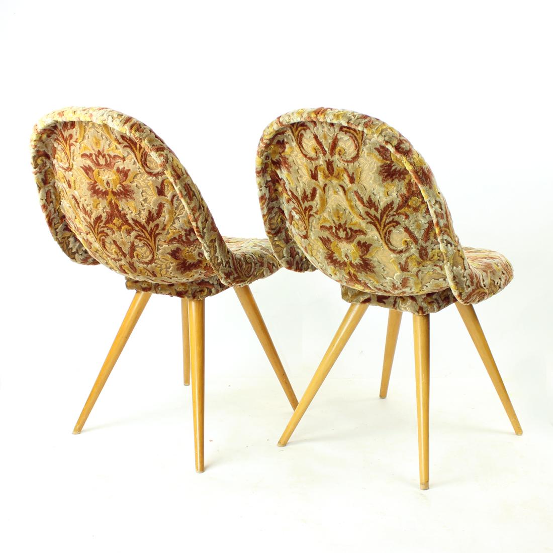 Mid-20th Century Pair Of Midcentury Shell Chairs By Miroslav Navratil, Czechoslovakia 1960s For Sale