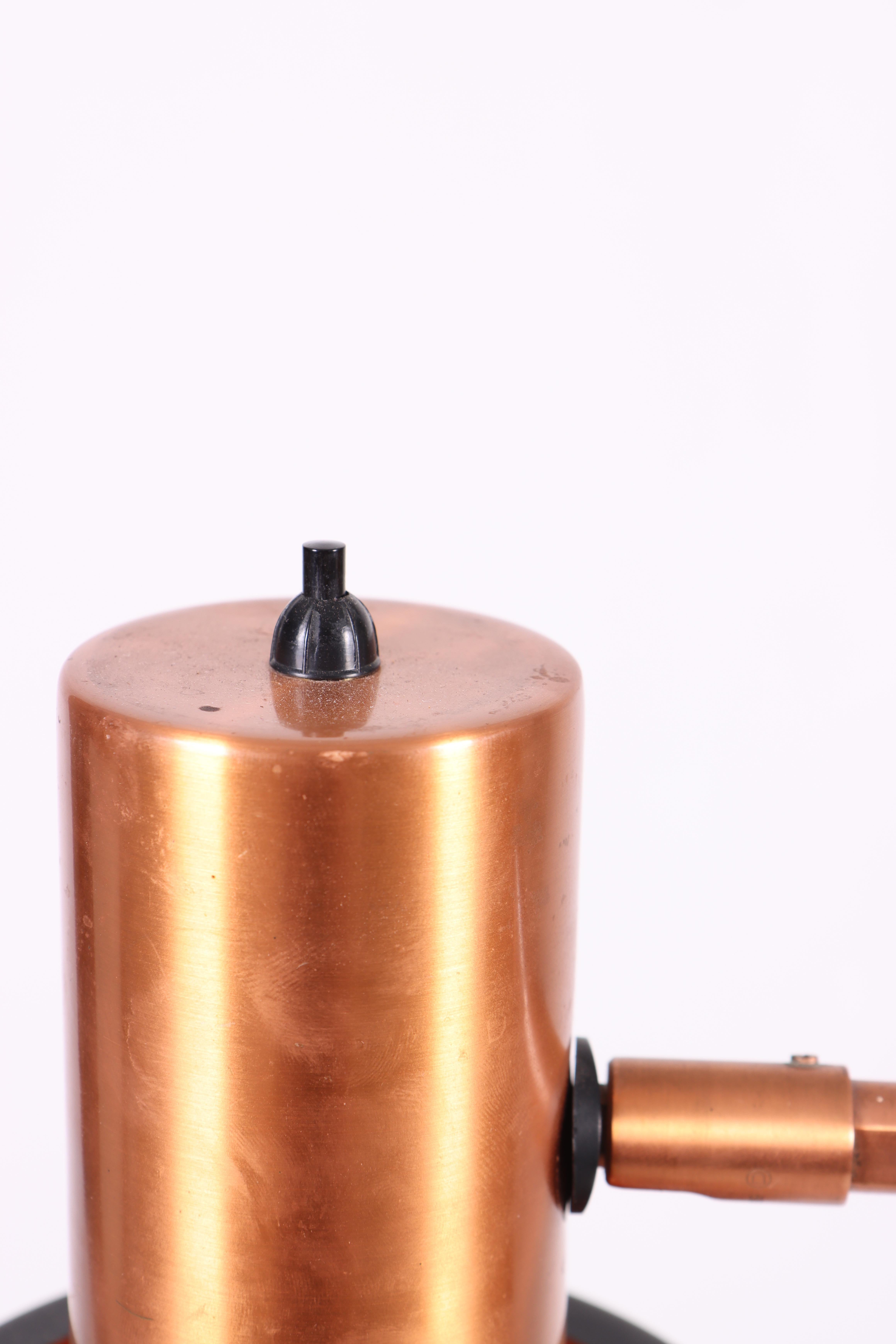 Scandinavo moderno Coppia di lampade da terra 
