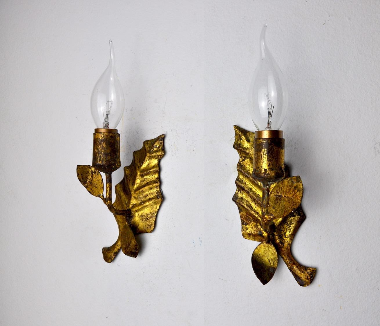 Very beautiful and rare pair of midcentury sconces in the shape of leaves. Object designated and produced in Italy in the 1950s, in metal and made with gold leaf. Rare design object that will illuminate your interior wonderfully. Electricity