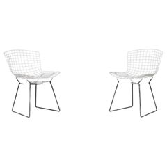 Used Pair of Midcentury White Knoll Bertoia Side Chairs, 1950s
