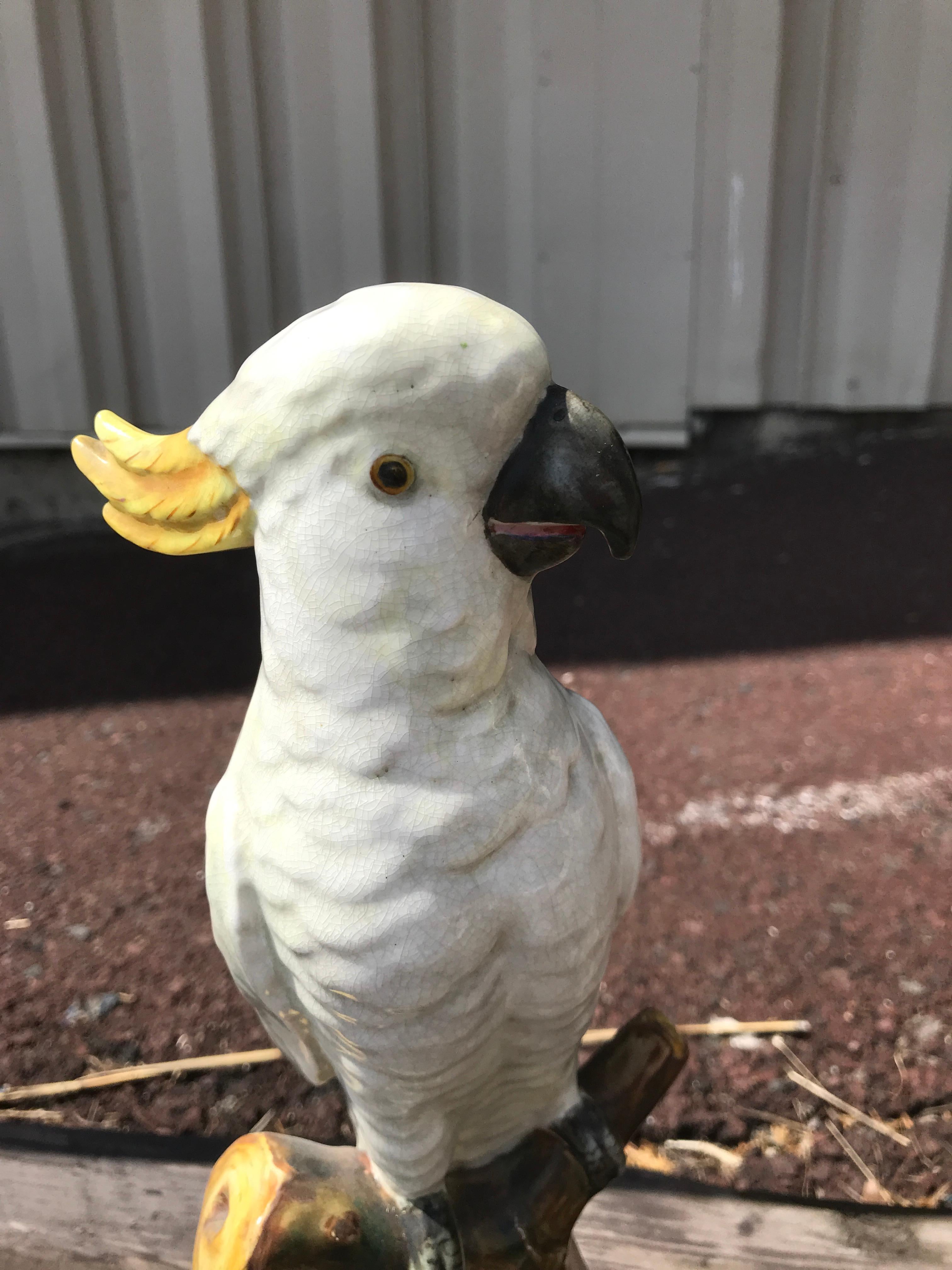 Pair of Mintons Majolica White Cockatoo For Sale 4