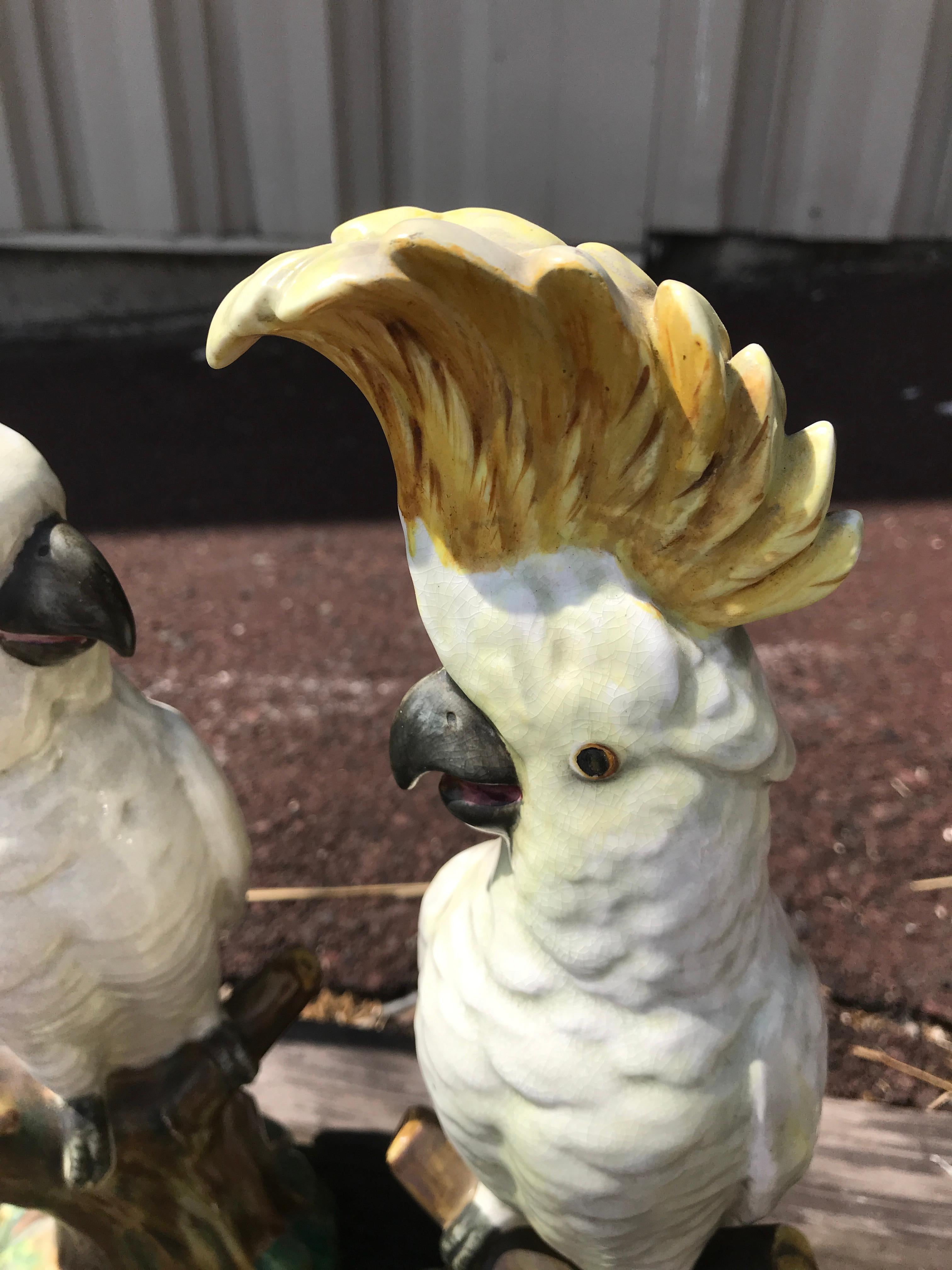 Pair of Mintons Majolica White Cockatoo For Sale 5