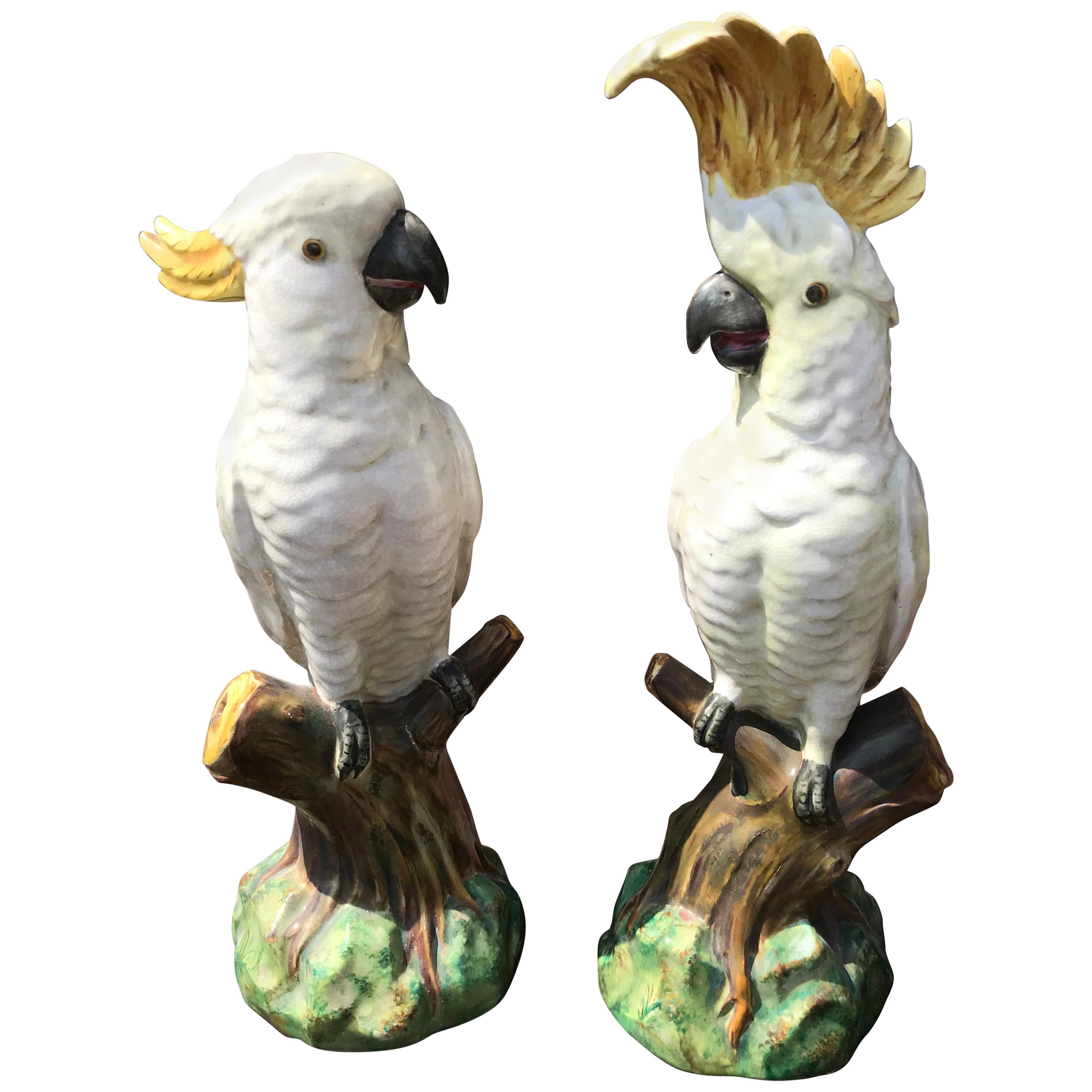 Pair of Mintons Majolica White Cockatoo For Sale