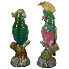 Pair of Mintons Majolica Parrots or Cockatoos
