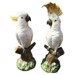 Pair of Mintons Majolica White Cockatoo