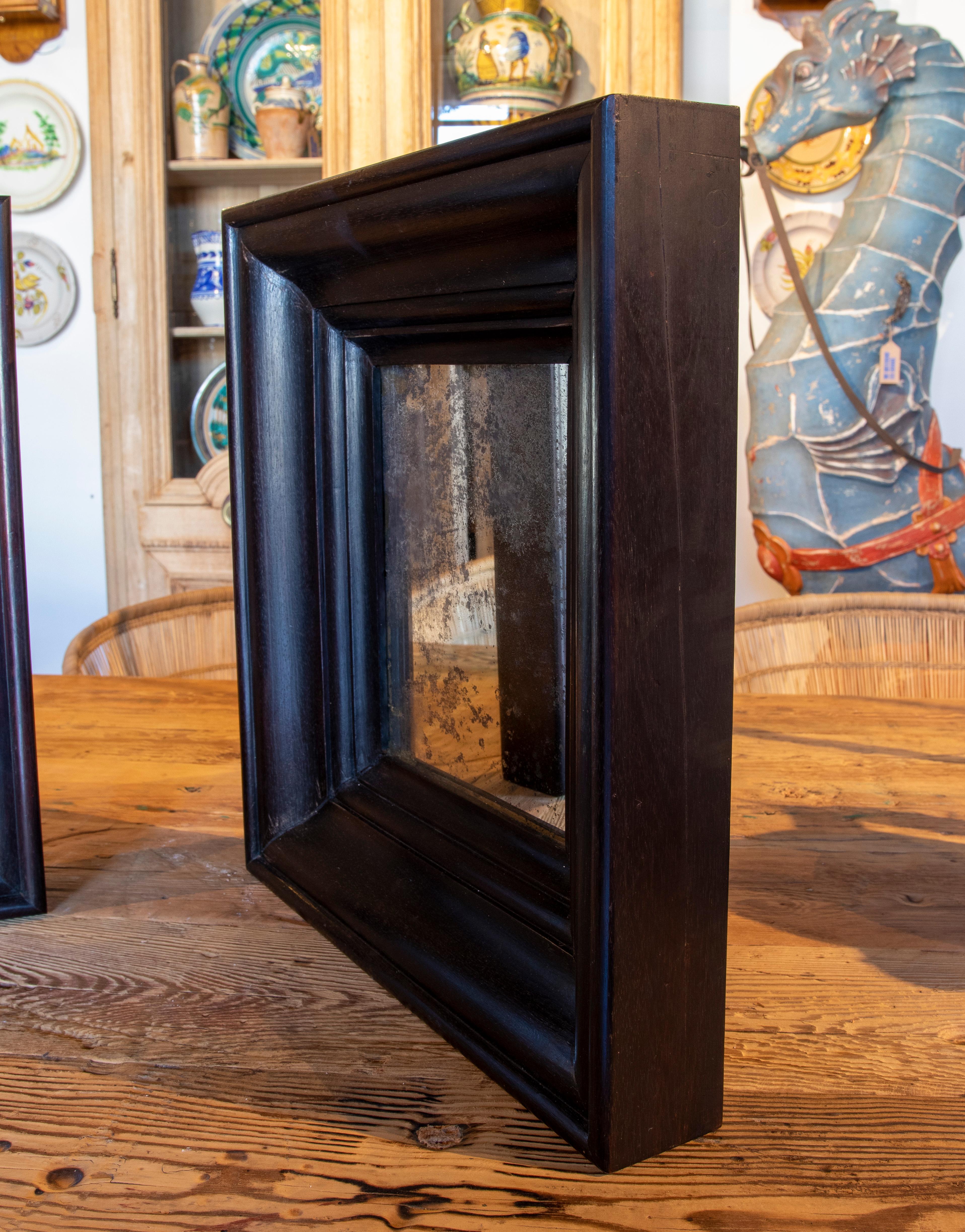 20th Century Pair of Mirrors in Dark Rosewood with Antique Glass
