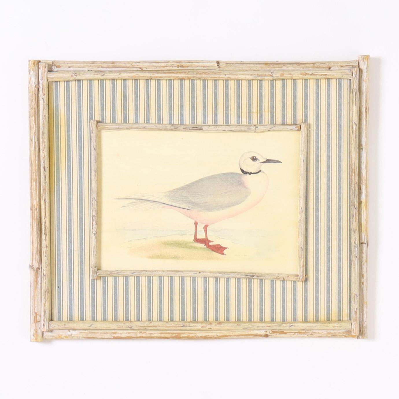 Lofty pair of coastal bird paintings on board executed in gouache and watercolor and presented in handmade white washed reed frames with faux ticking mats.