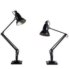 Two Model 1227 Table Lamp by George Carwardine for Anglepoise