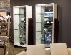 Pair of Modern Bookcase Display Cabinets in Ziricote Wood