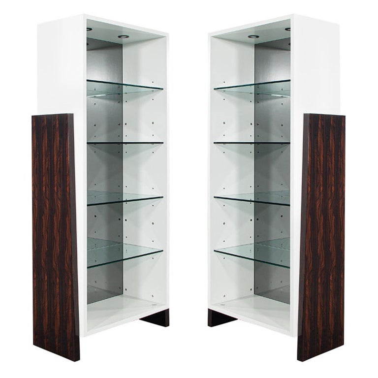 Coppia di vetrine-libreria moderne in legno di Ziricote