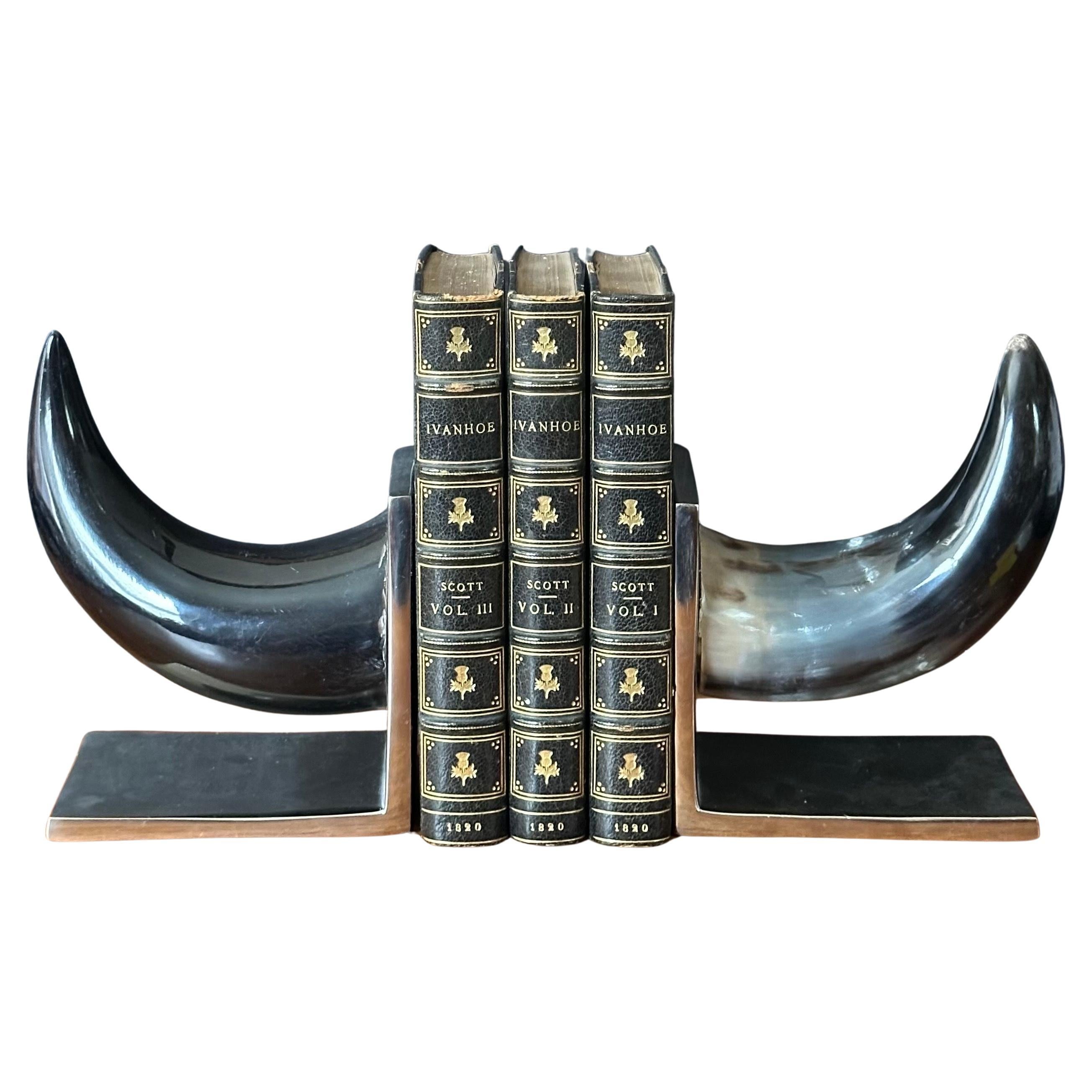 Pair of Modern Brushed Aluminum and Horn Bookends