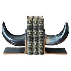Ein Paar moderne Buchstützen aus gebürstetem Aluminium und Horn