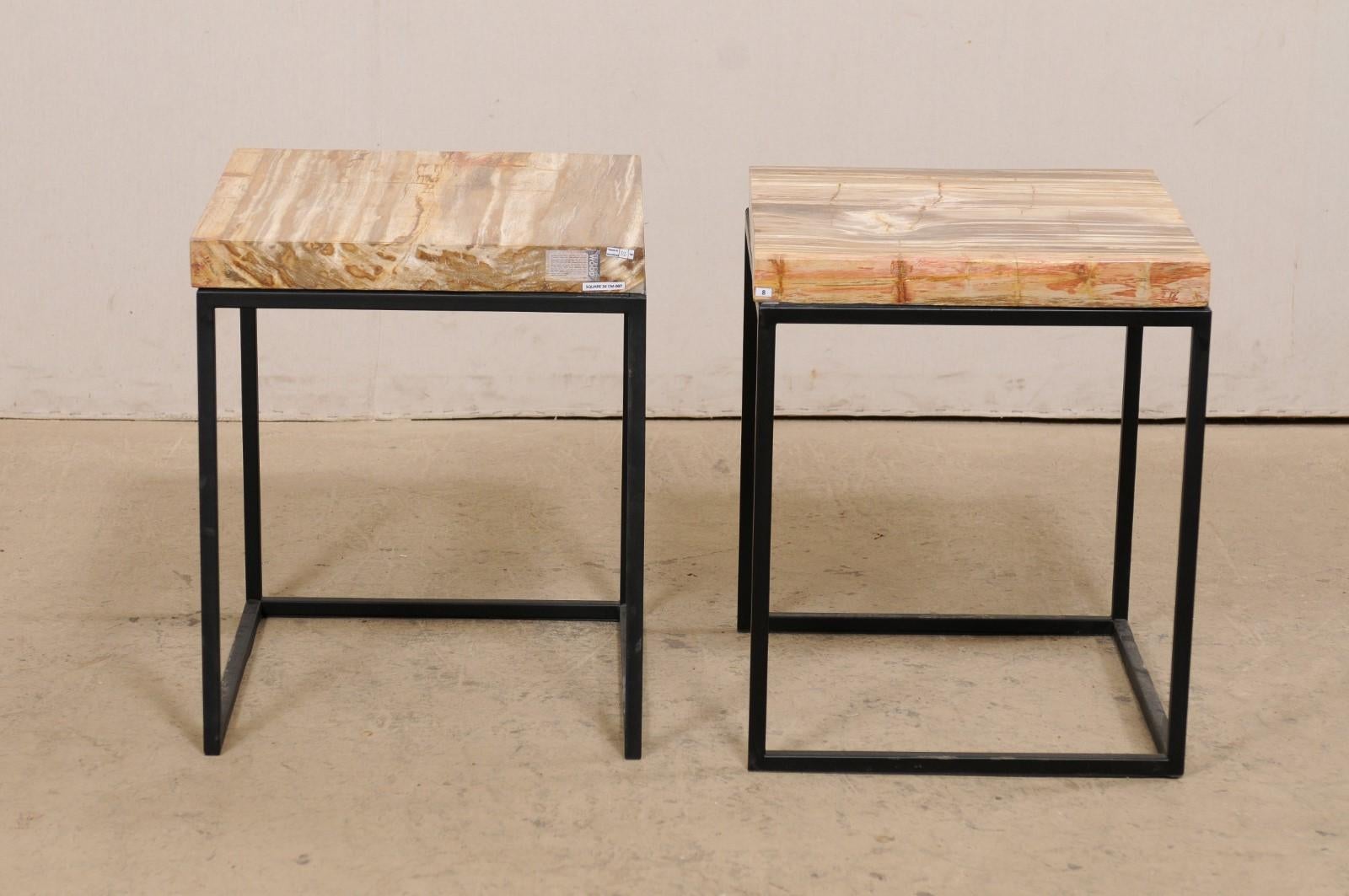 Moderne, gestaltete Beistelltische mit versteinerten Holzplatten auf Eisensockeln, Paar  im Angebot 5