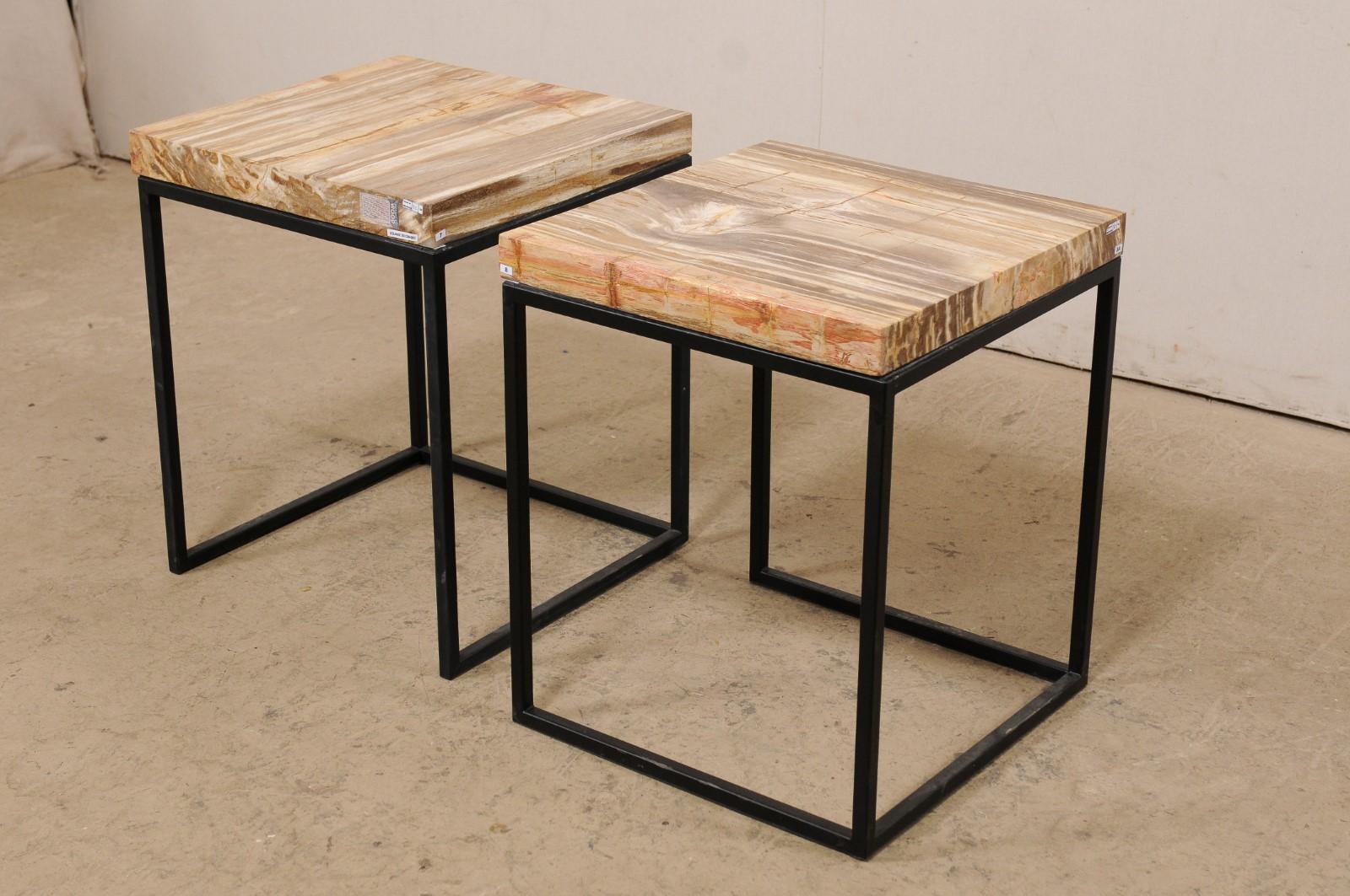Moderne, gestaltete Beistelltische mit versteinerten Holzplatten auf Eisensockeln, Paar  im Angebot 6
