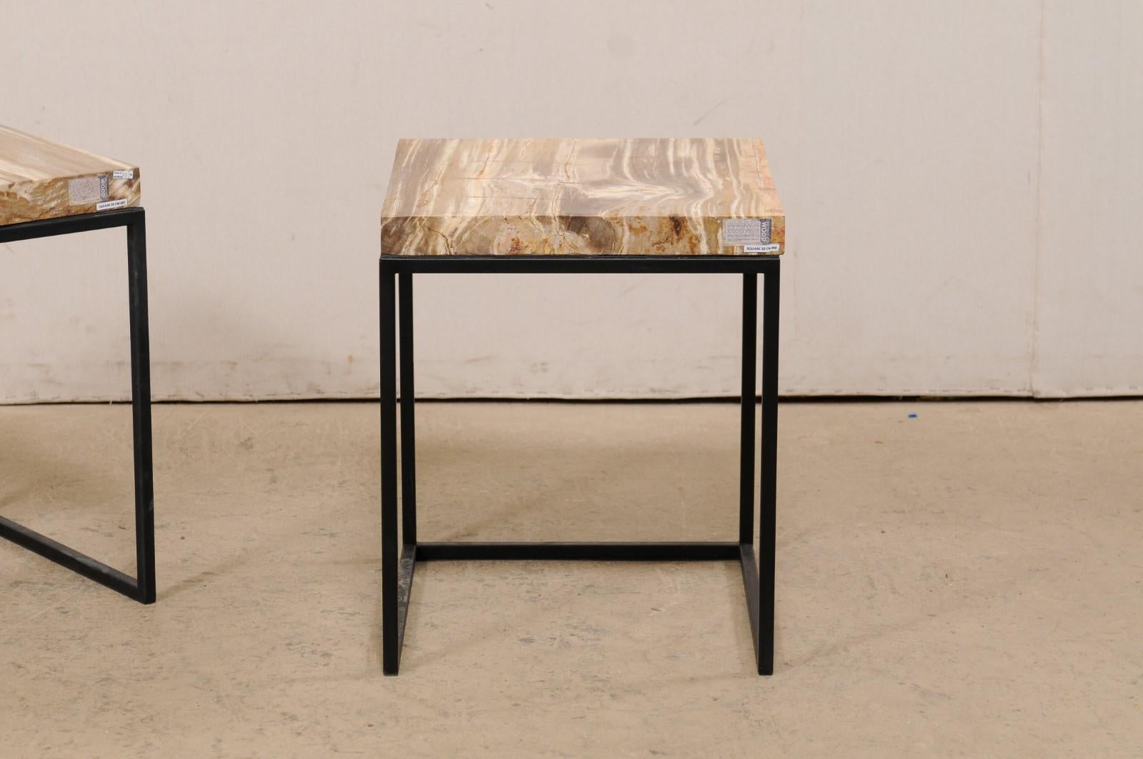 American Pair of Modern Designed Side Tables with Petrified Wood Tops on Iron Bases  For Sale