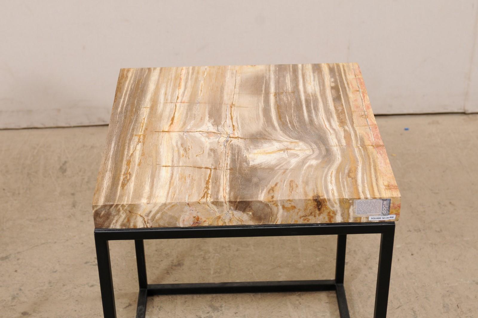 Pair of Modern Designed Side Tables with Petrified Wood Tops on Iron Bases  For Sale 1