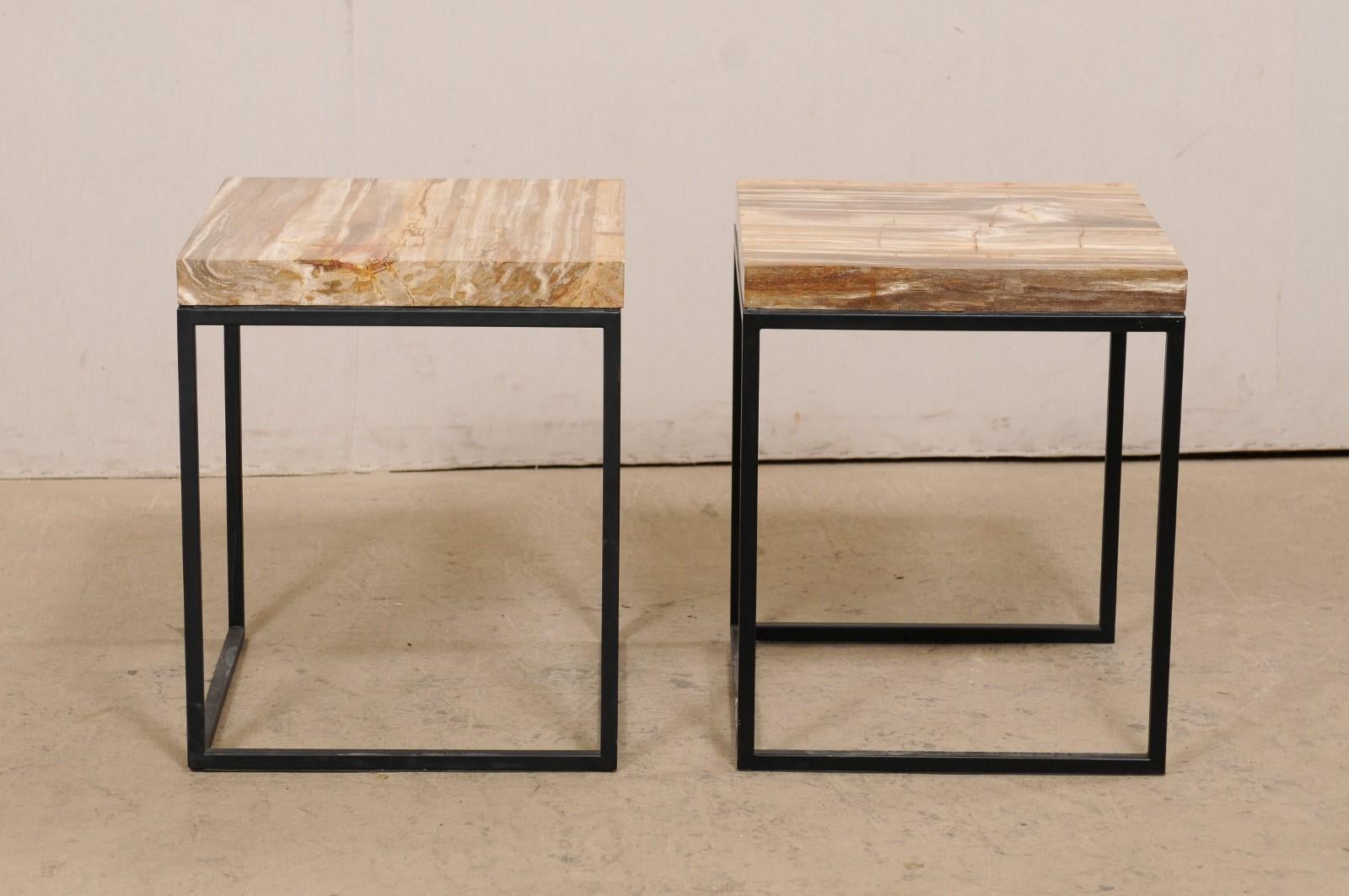 Pair of Modern Designed Side Tables with Petrified Wood Tops on Iron Bases  For Sale 3