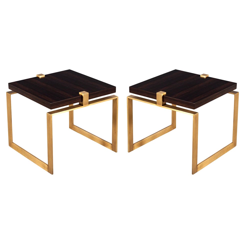 Pair of Modern Macassar and Brass End Tables