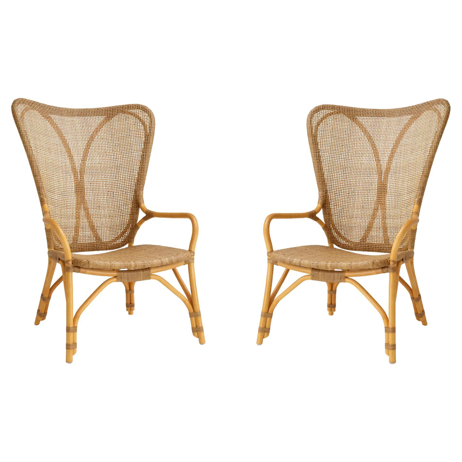 Paire de chaises modernes en rotin en finition miel. en vente