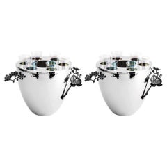 Pair of Modern Silver Metal Vodka Service with Black Orchid Motif