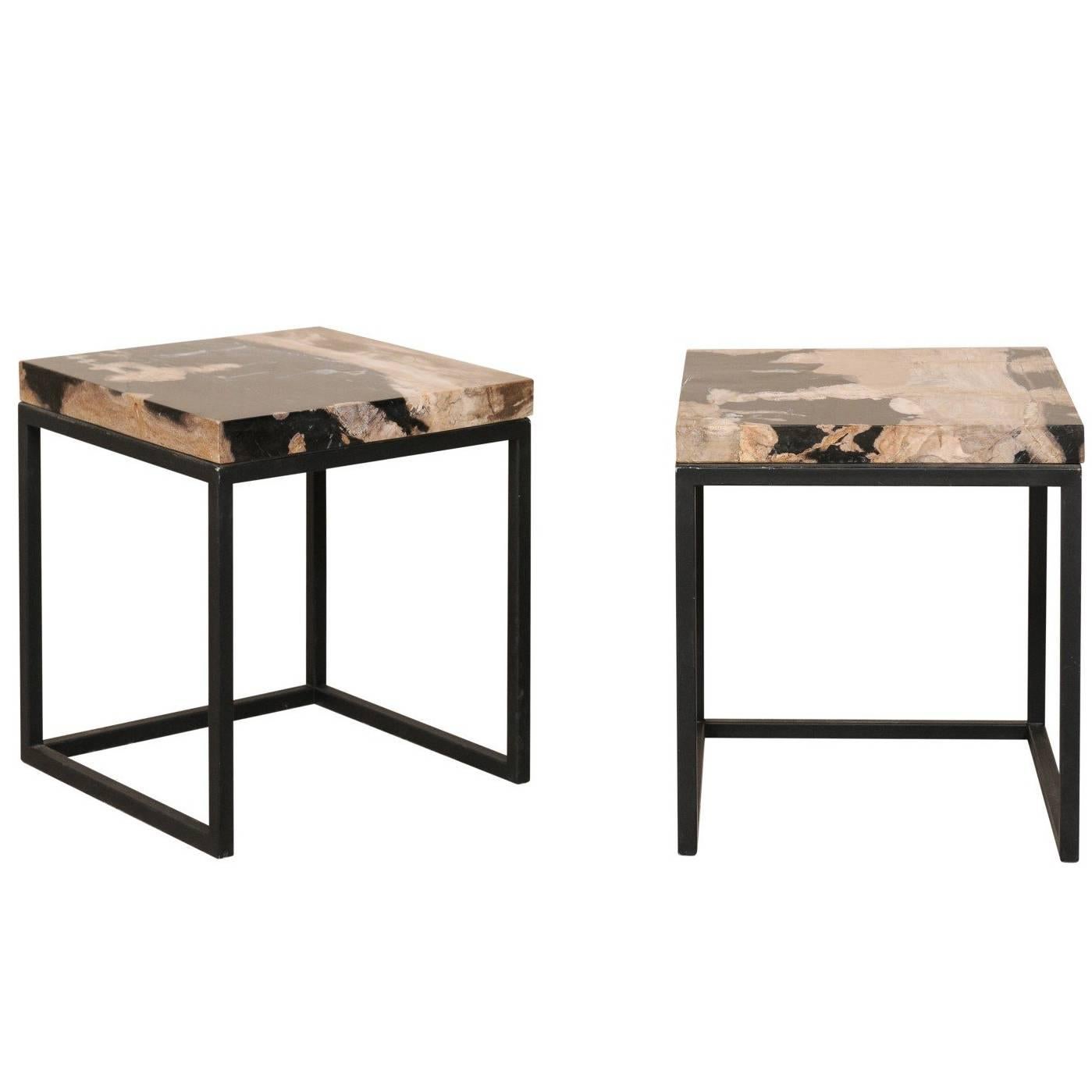 Pair of Modern Style Polished Petrified Wood Drink Tables with Iron Bases