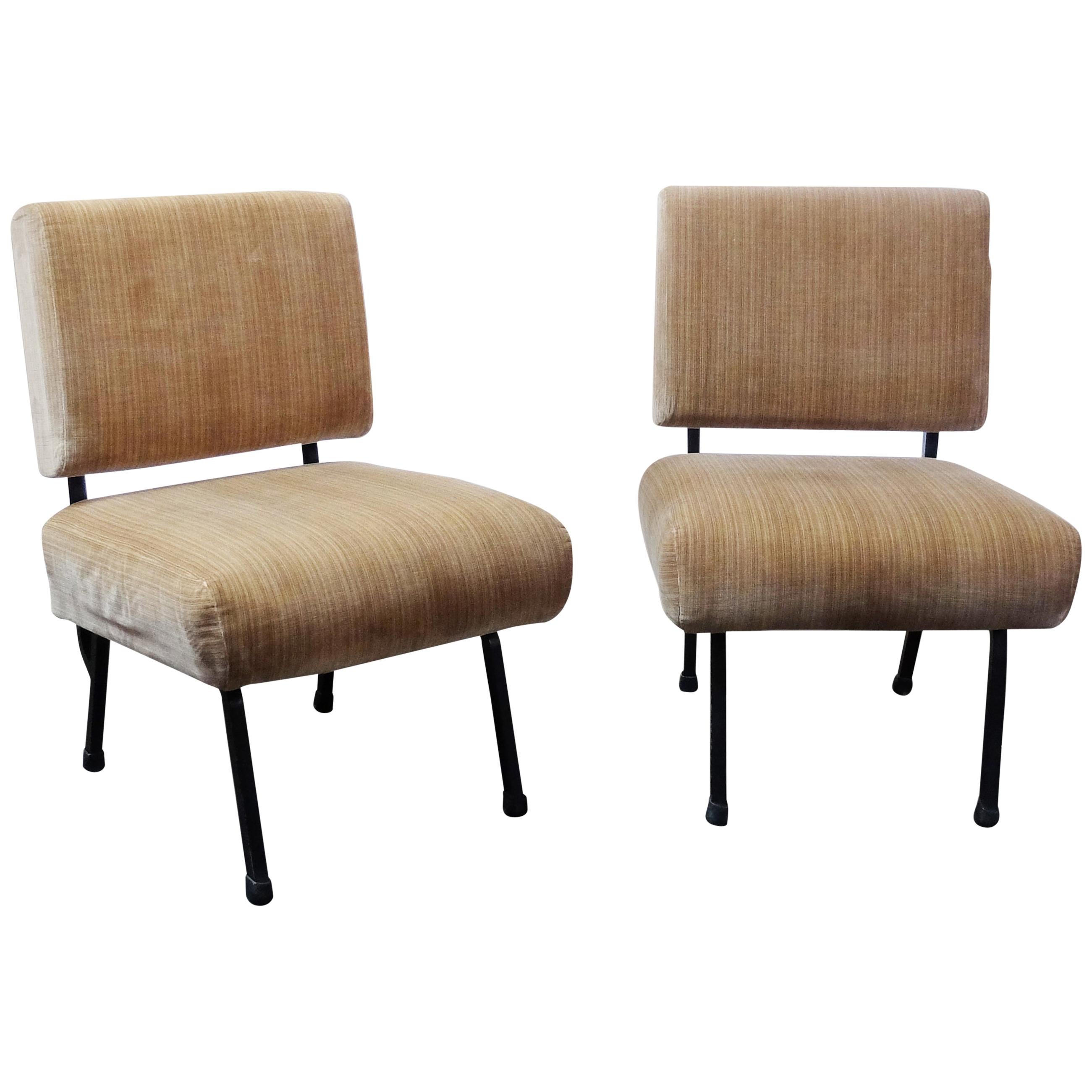 Pair of Italian Mid-Century Modernist Armchairs, in Soft Velvet Fabric, 1950s