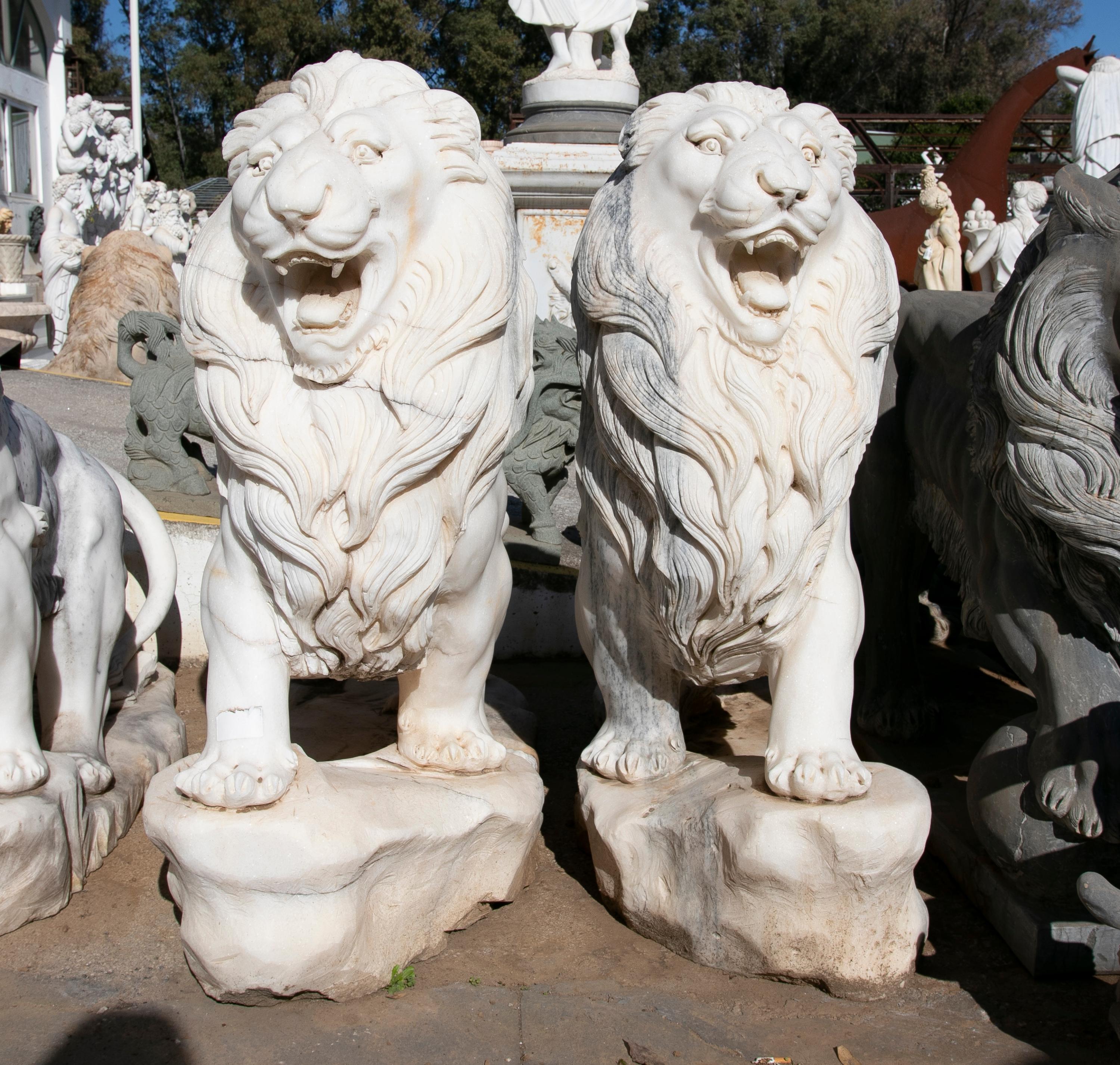 Pair of monumental 1990s Spanish handcarved Macael veined white marble neoclassical lions standing on rock with a proud and aggressive stance.