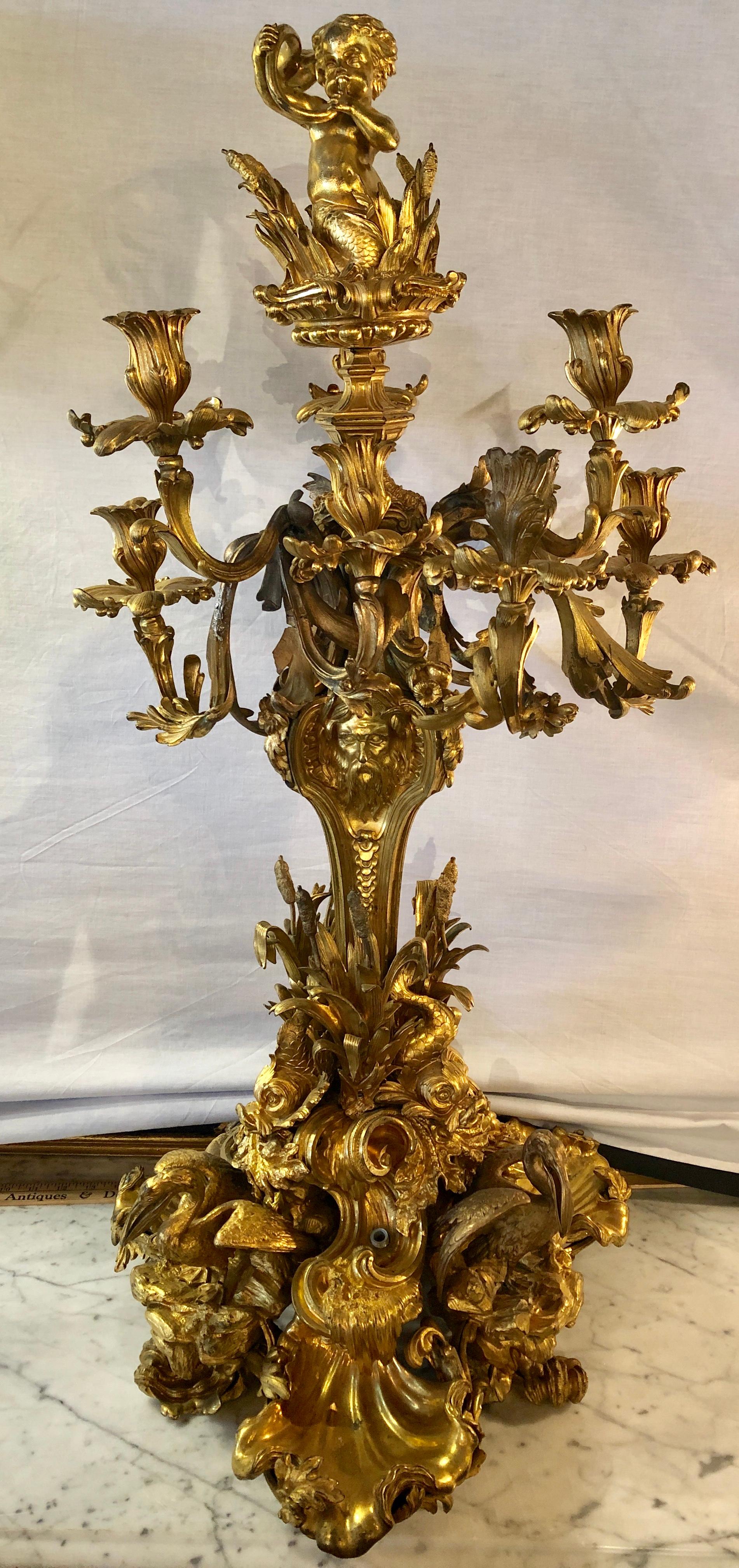 Pair of monumental 36 inches in height 19th century gilt bronze Louis XV nine light candelabrum. Having too much to name or detail these simply stunning candelabras are not only magnificent in quality but size as well as the overall light is simply