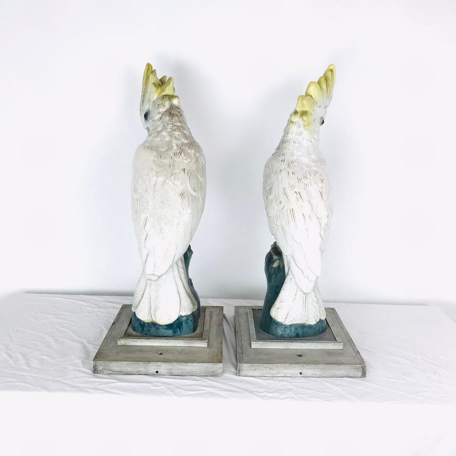 Glazed Pair of Monumental Antique Porcelain Cockatoos