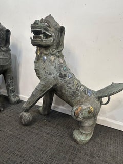 Pair of monumental bronze Foo Dogs