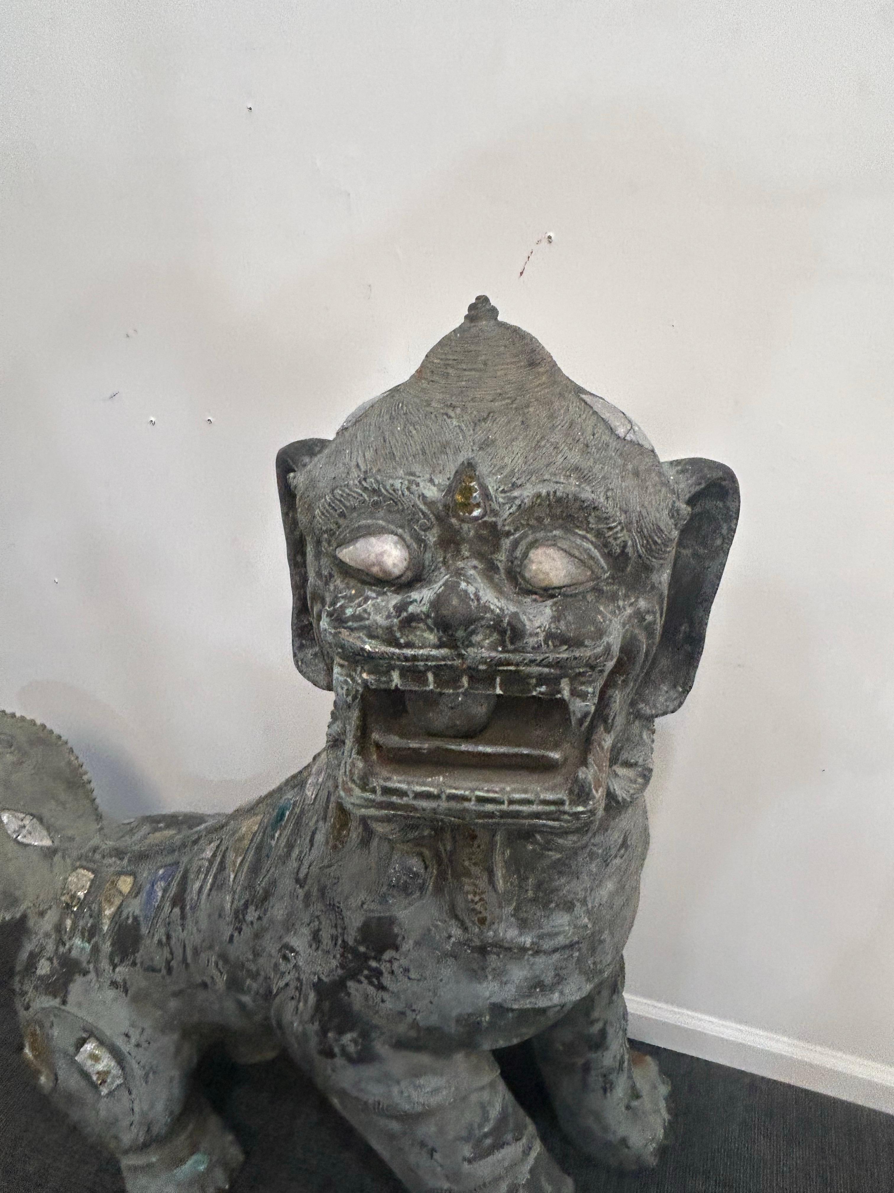 Chinese Pair of monumental bronze Foo Dogs For Sale
