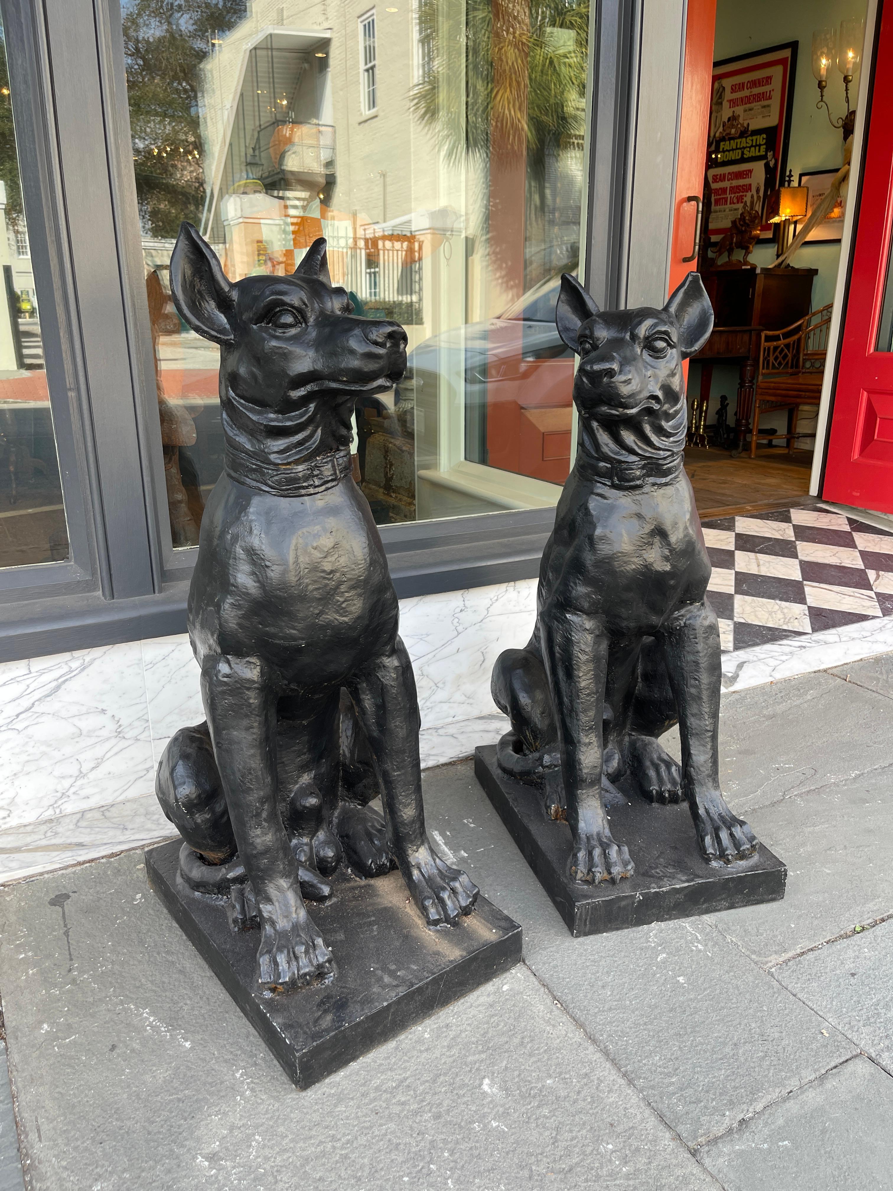 Pair of 19th century cast iron dogs. Monumental in stature. Seated on rectangular base alertly watching. Adorned collar. True pair not assembled.