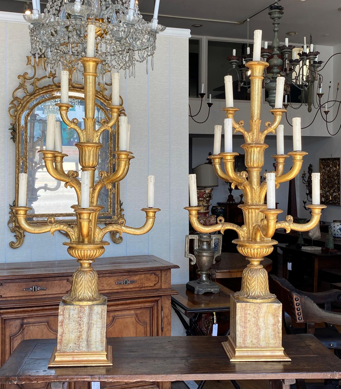 Walnut Pair of Monumental Italian Giltwood Candelabra, circa 1810