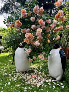 Pair of monumental king penguin animal sculptures, ceramics, design, 1980s Italy