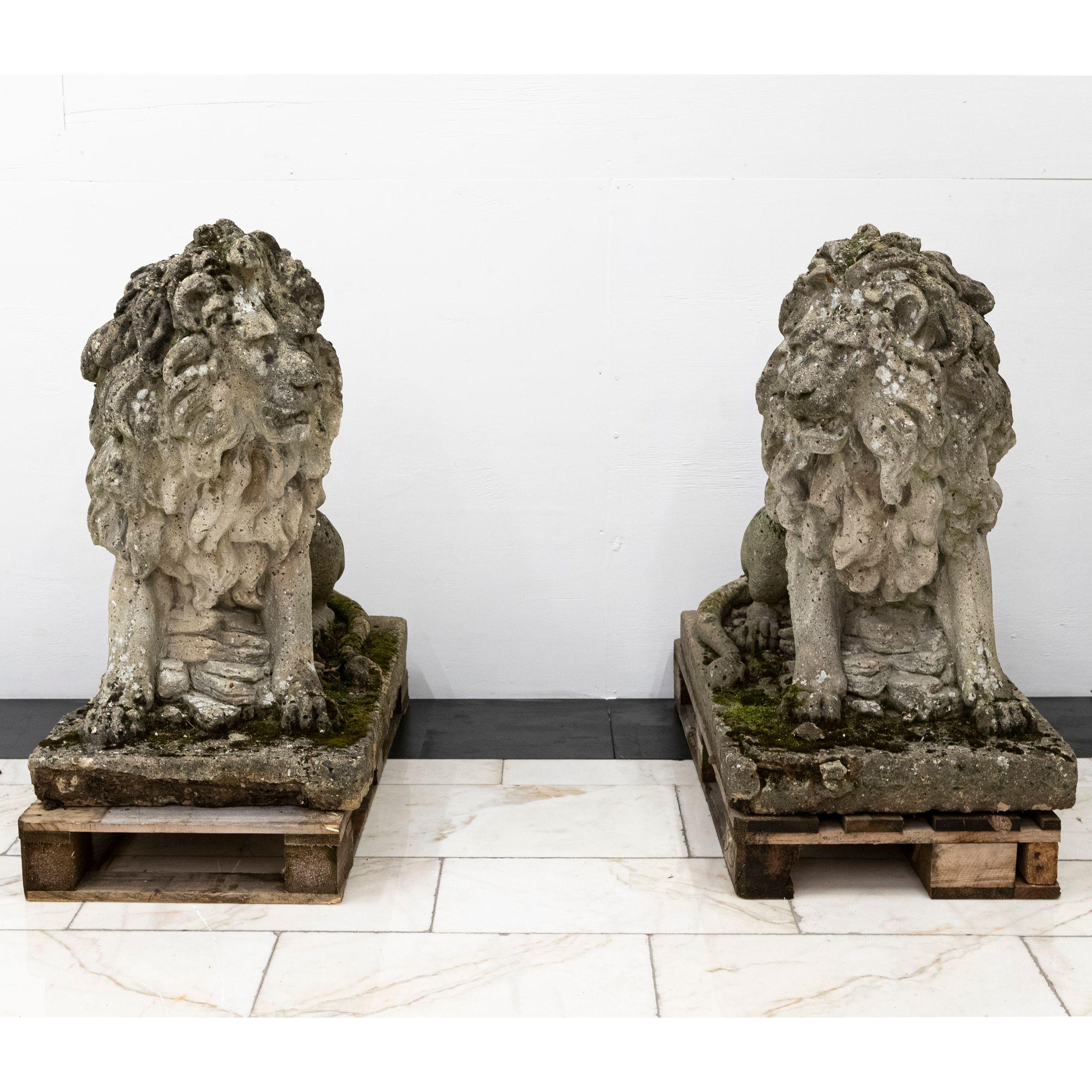 Une paire impressionnante et imposante de lions en pierre recyclée. 

Très détaillée, cette paire datant du milieu du XXe siècle présente une patine exceptionnelle et constituerait une pièce maîtresse pour l'entrée d'une propriété ou un élément de