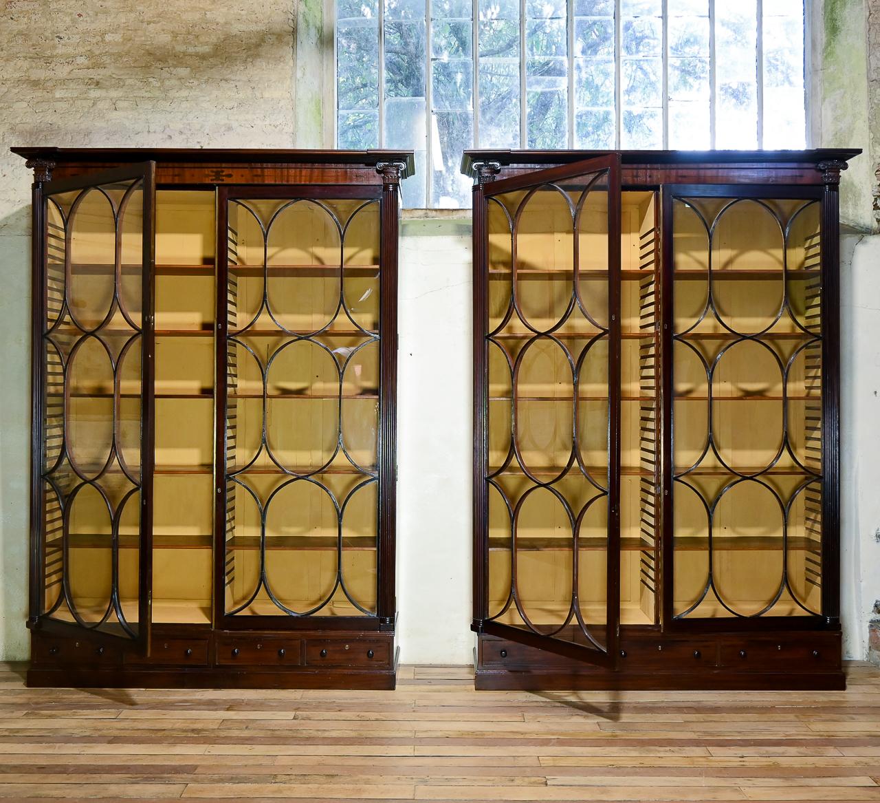 Pair of Monumental Regency Oval Astral Glazed Mahogany Library Bookcases, c.1810 For Sale 9