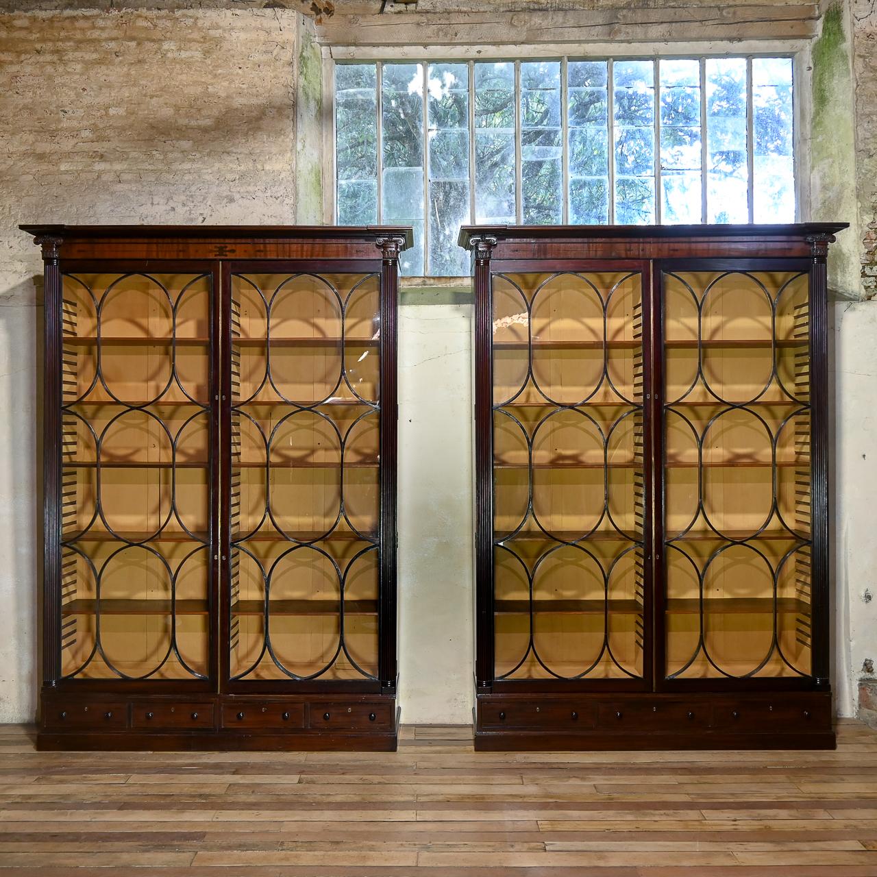 English Pair of Monumental Regency Oval Astral Glazed Mahogany Library Bookcases, c.1810 For Sale