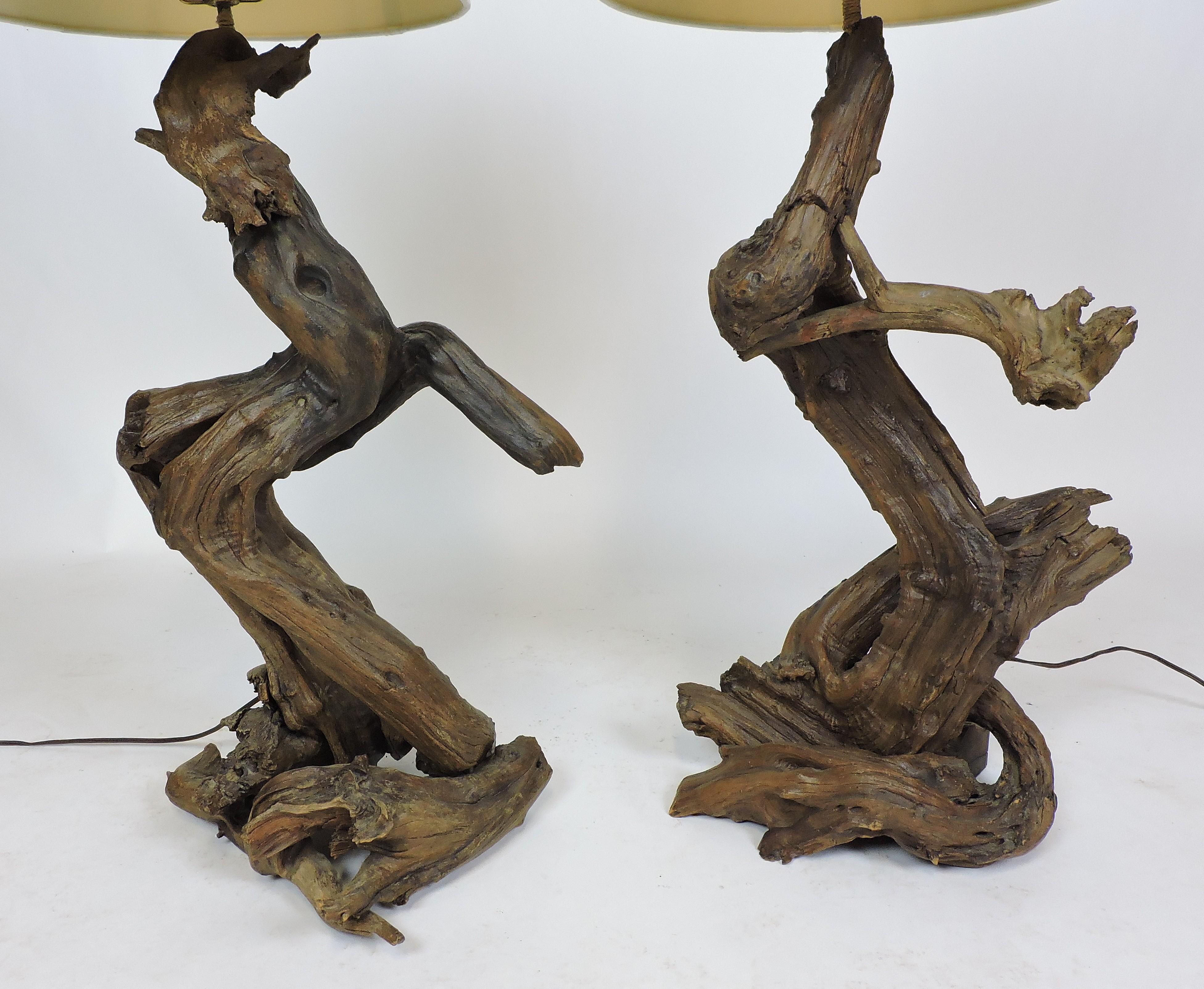 Pair of large sized Mid-Century driftwood lamps. These lamps are an impressive 42 and 48 inches tall to the top of their original driftwood finials. They take a three-way bulb and also have their original harps that can be adjusted for height. The
