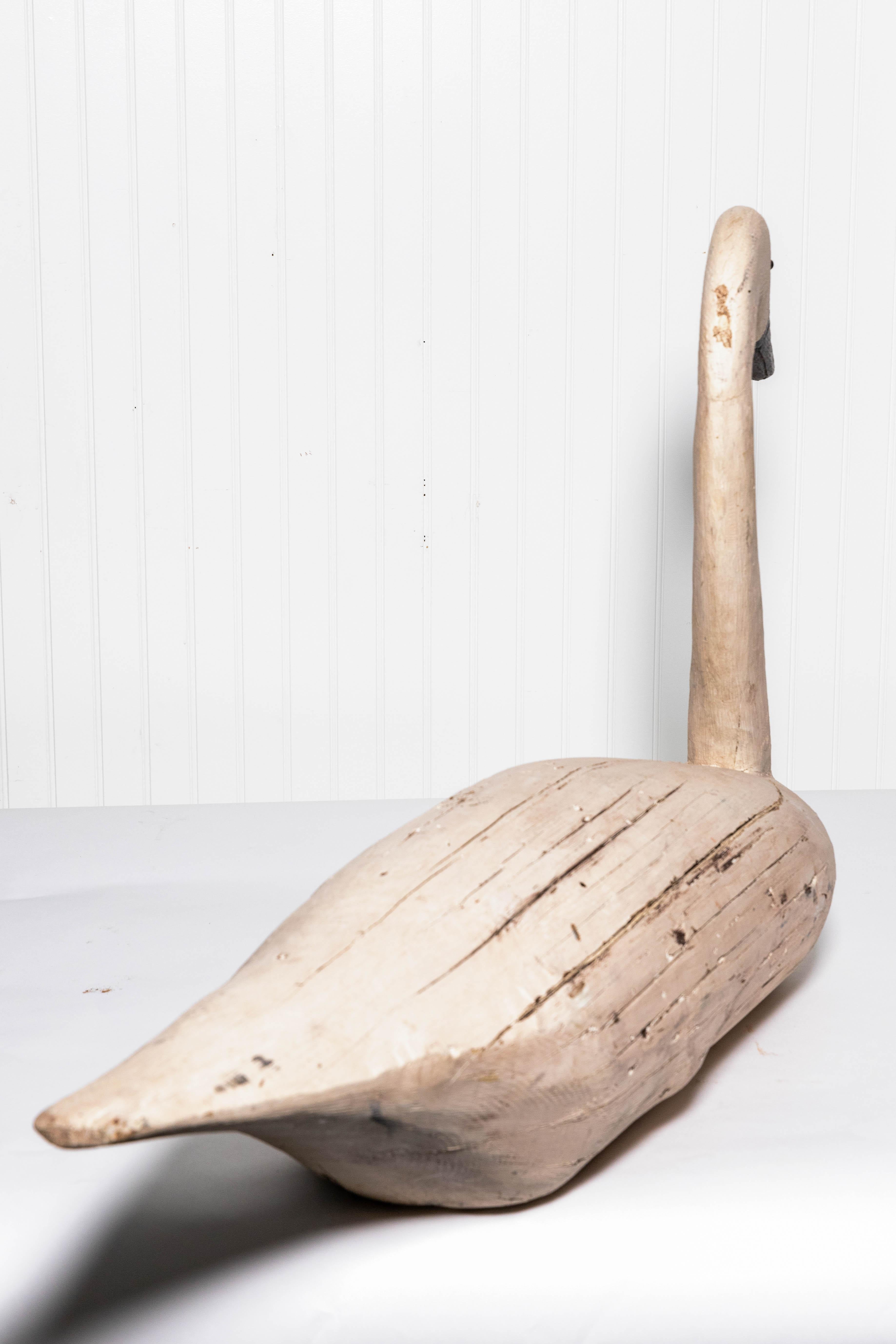 19th Century Pair of Monumental Swan Decoy's Early 1900s