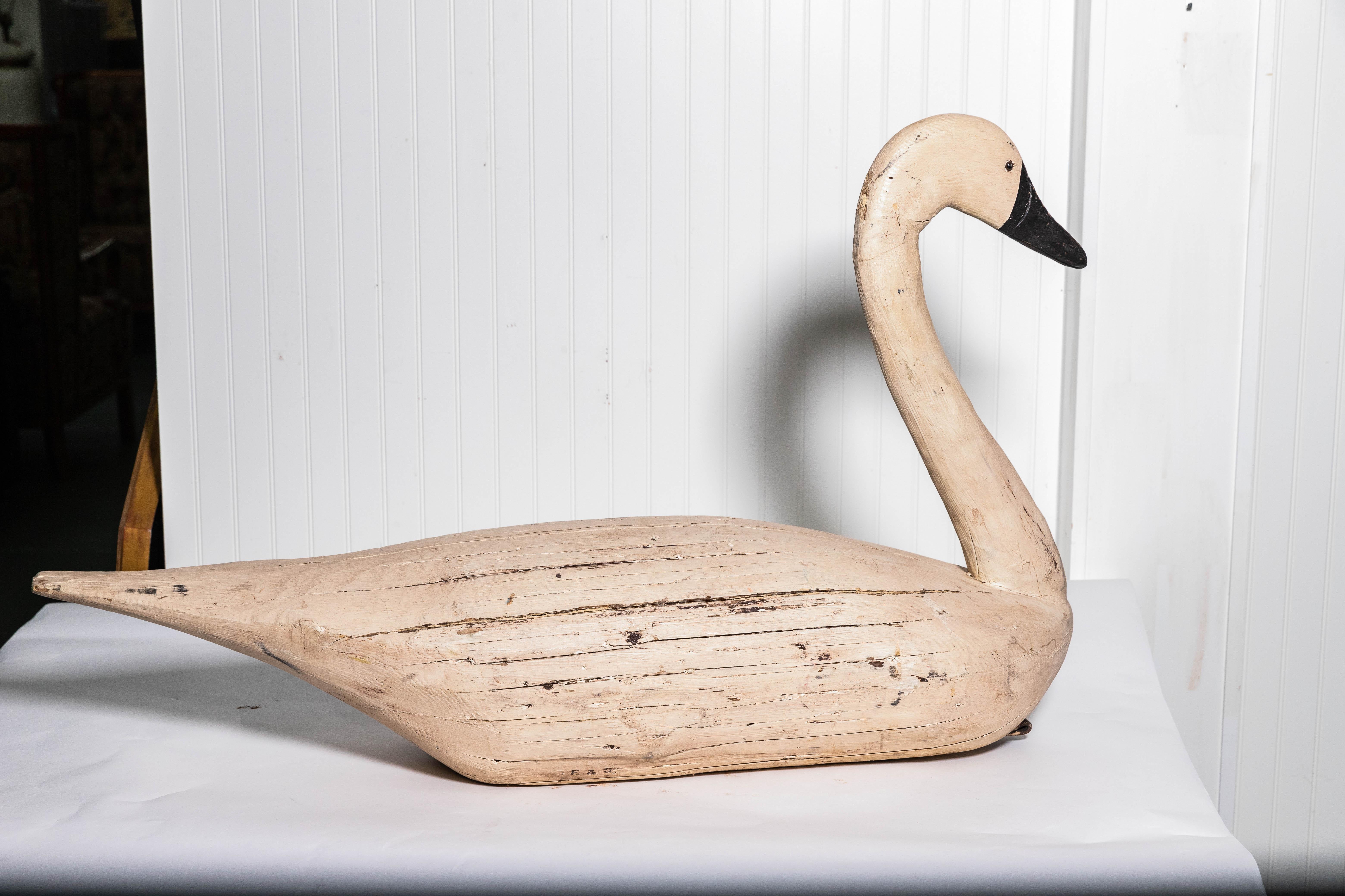 Glass Pair of Monumental Swan Decoy's Early 1900s