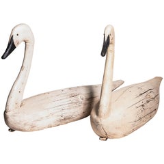 Antique Pair of Monumental Swan Decoy's Early 1900s