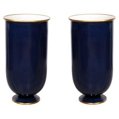 Pair of Monumental Vases by Sevres