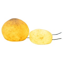 Pair of Moon Rock Lamps by Andre Cazenave