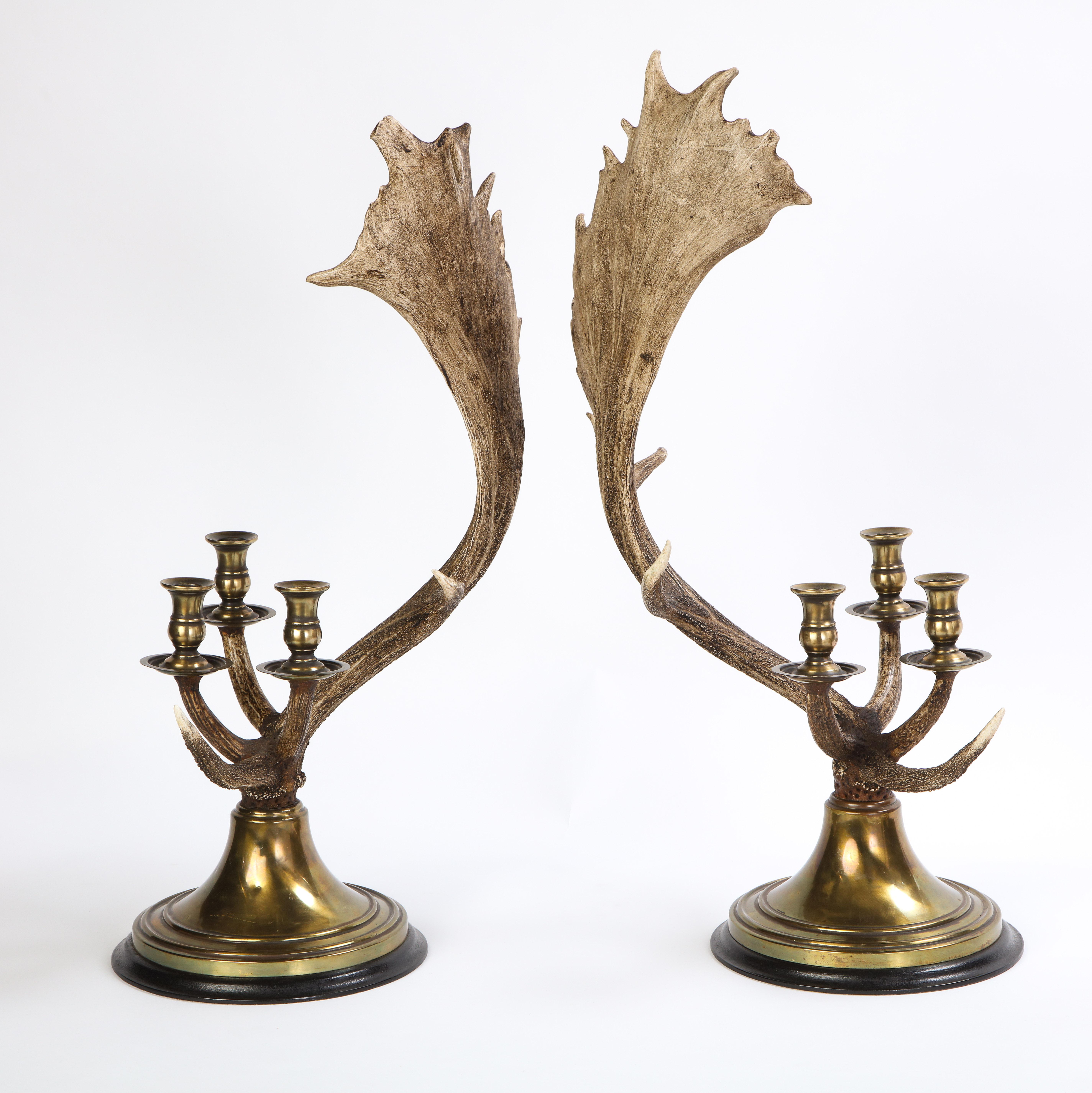 Pair of Moose Antler-Form Three-Light Candelabra, Modern 7