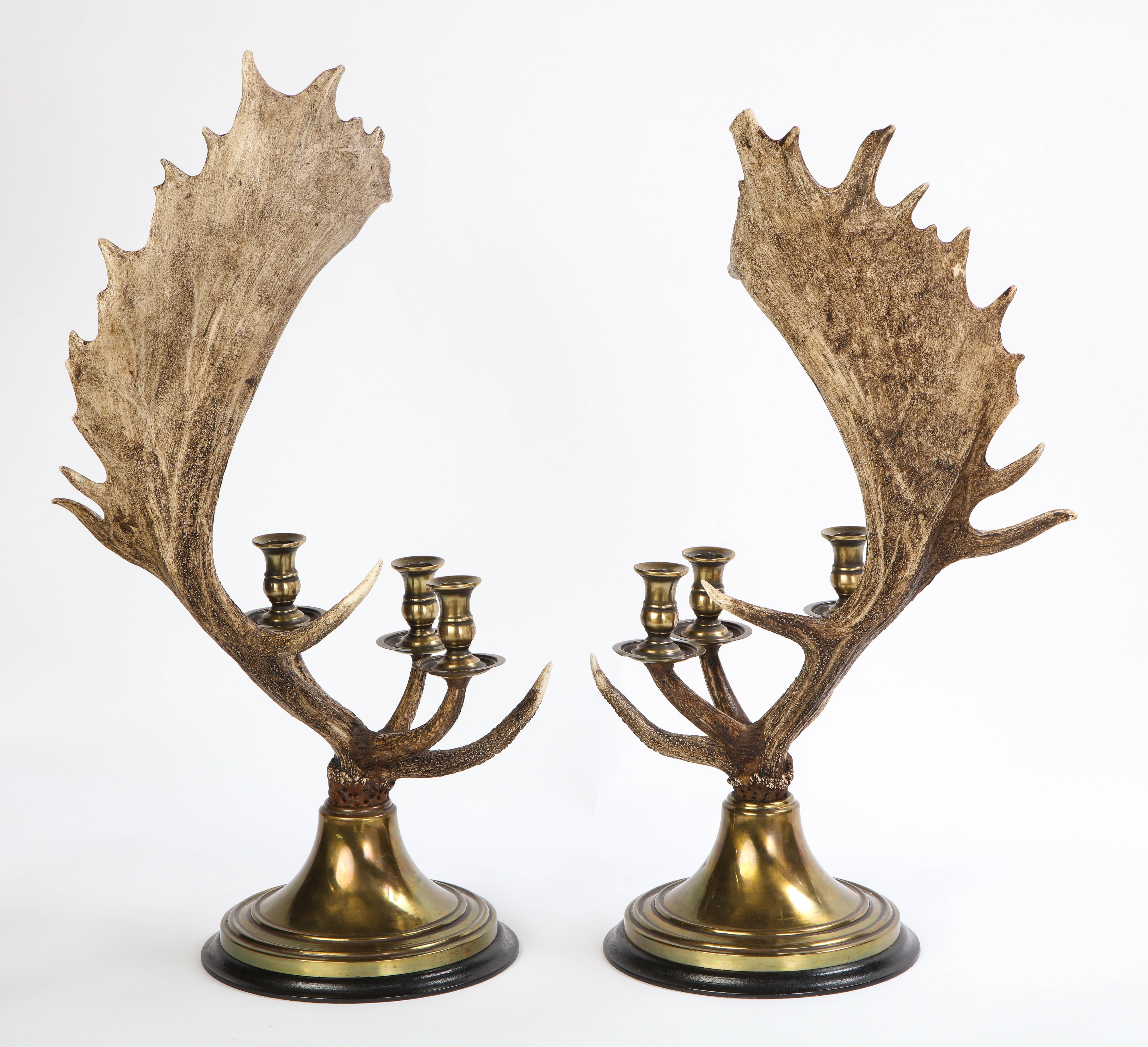 Pair of Moose Antler-Form Three-Light Candelabra, Modern 9