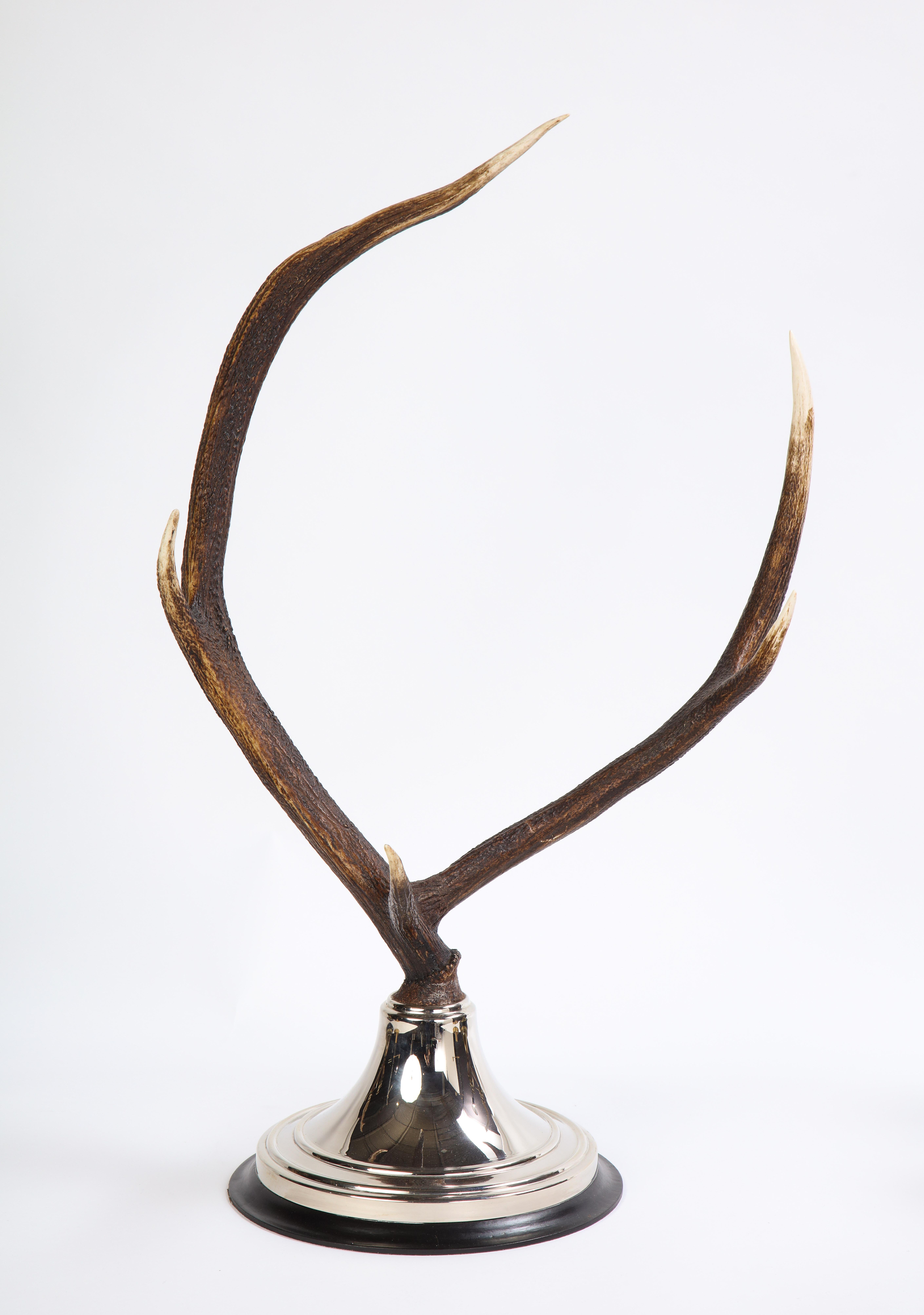 Pair of Moose Antler-Form Three-Light Candelabra, Modern 1