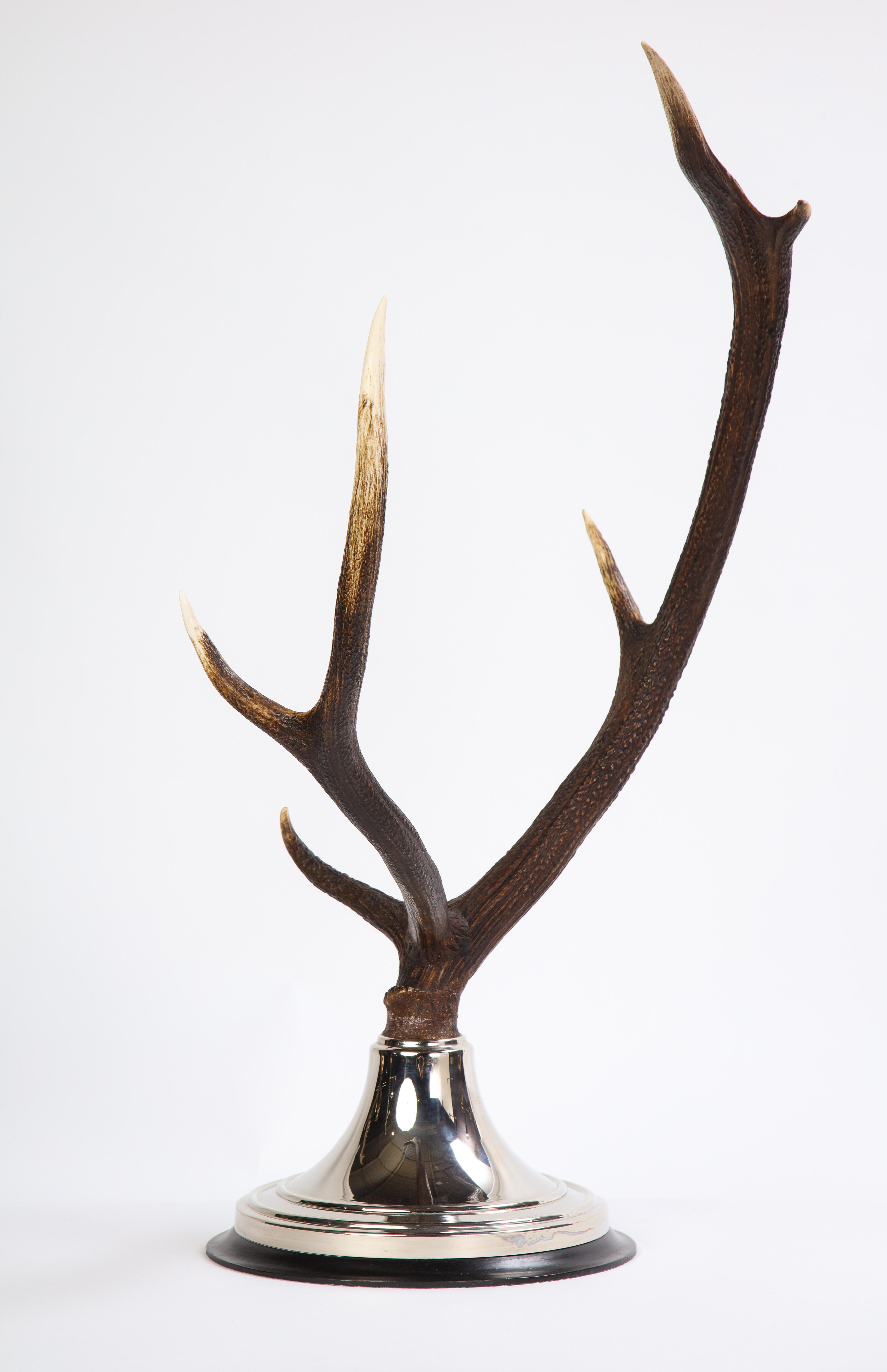 Pair of Moose Antler-Form Three-Light Candelabra, Modern 3