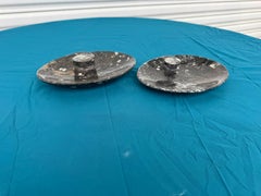 Paar Nautilus-Schalen aus marokkanischem Granit