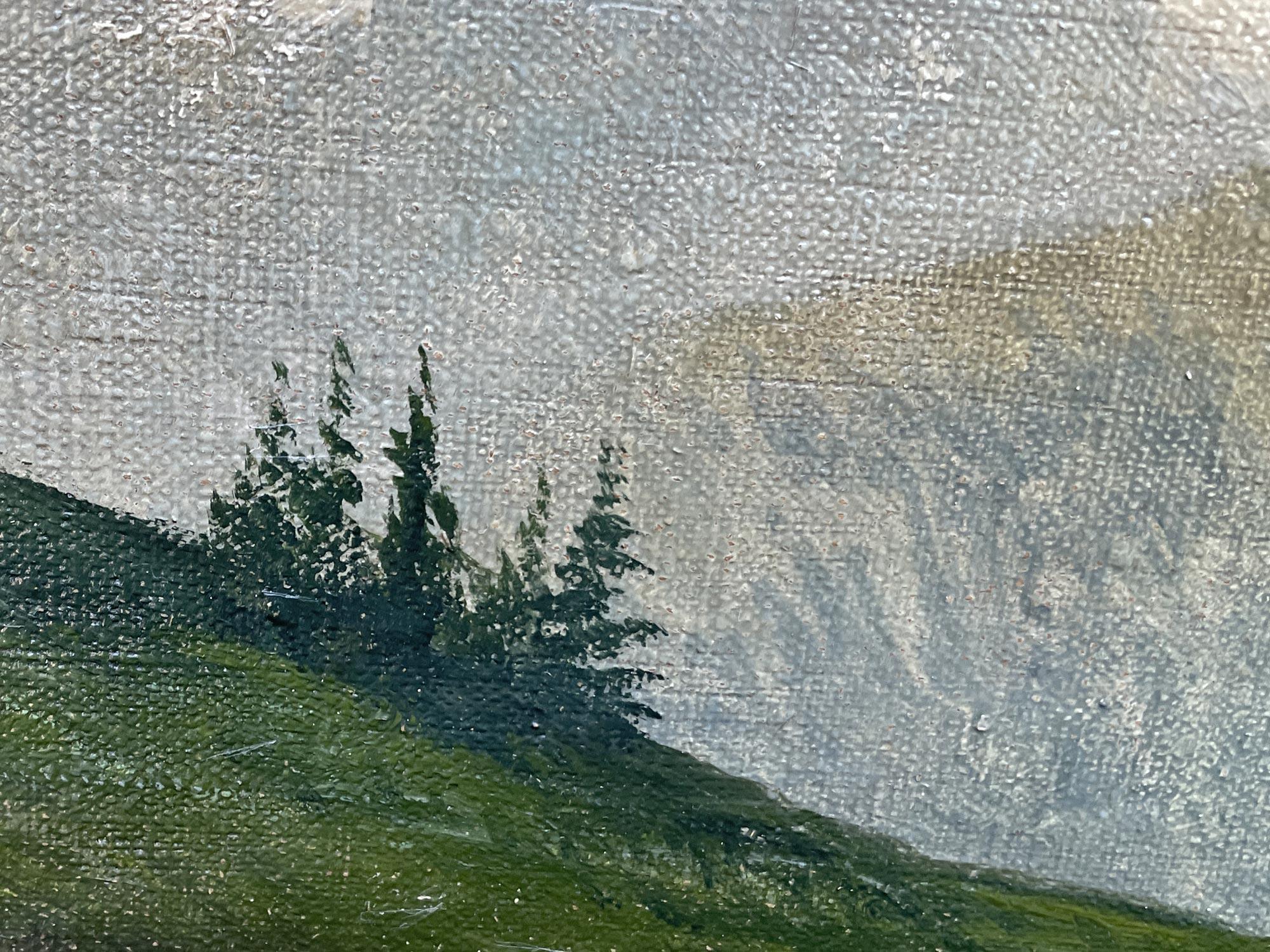 pair of mountain landscape paintings by Henry Marko - 1890 In Good Condition For Sale In Albignasego, IT